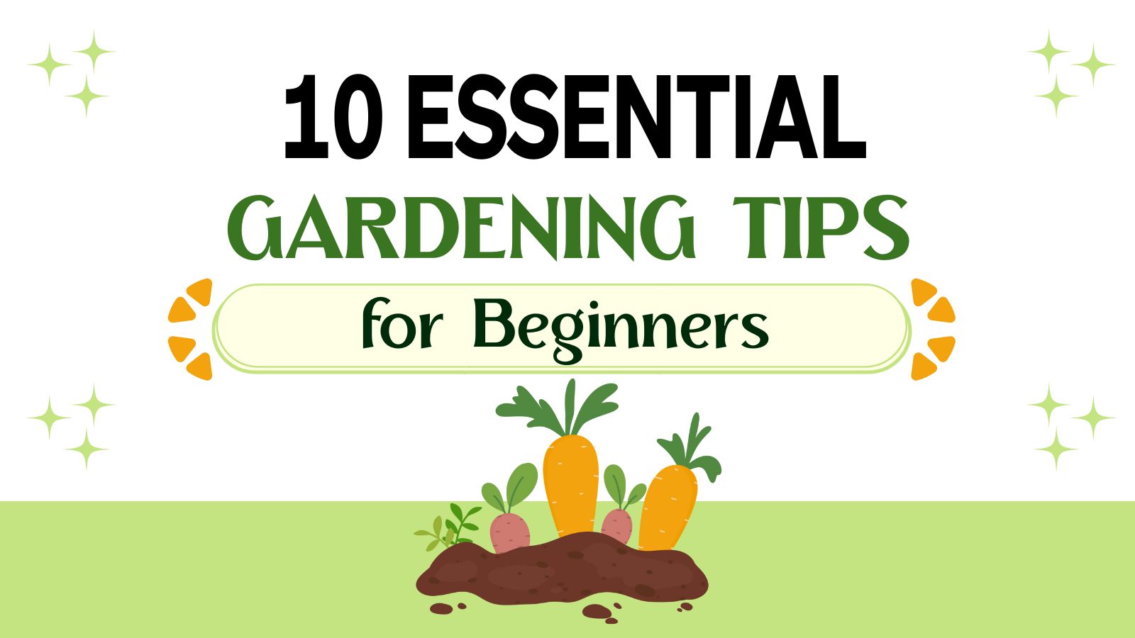 10 Expert Gardening Tips To Start Your Garden Right