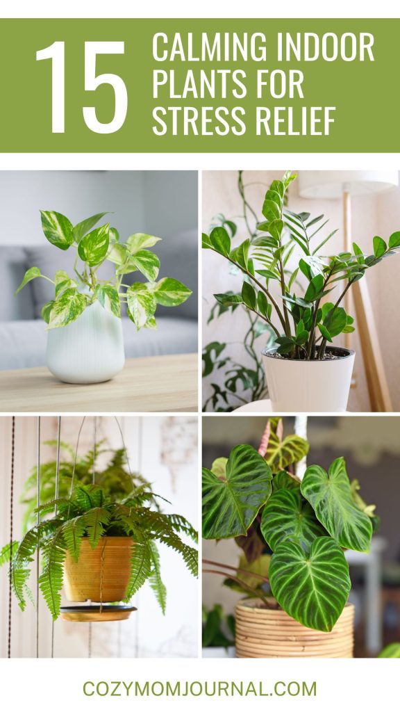 Calming Indoor Plants for Stress