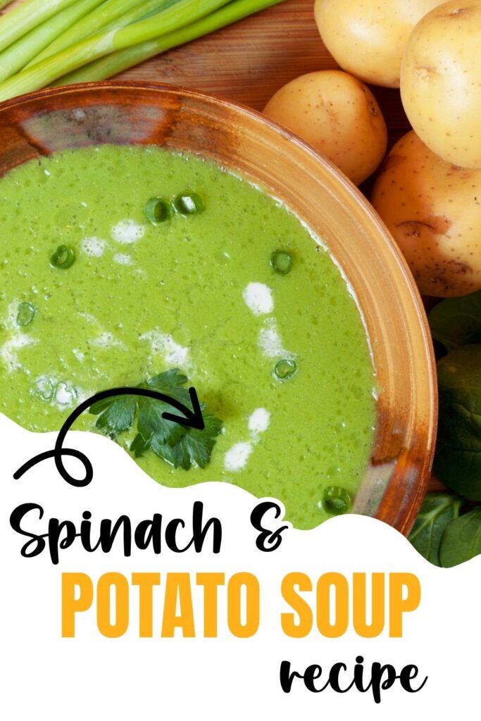 summer soup recipes