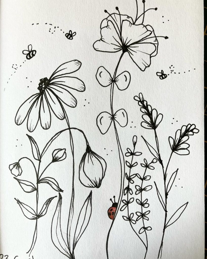 Flower Drawing Ideas