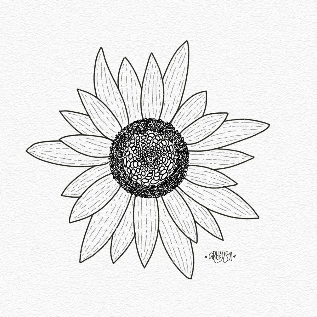 Flower Drawing Ideas