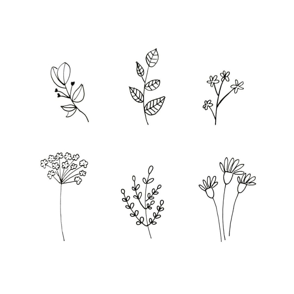 Flower Drawing Ideas