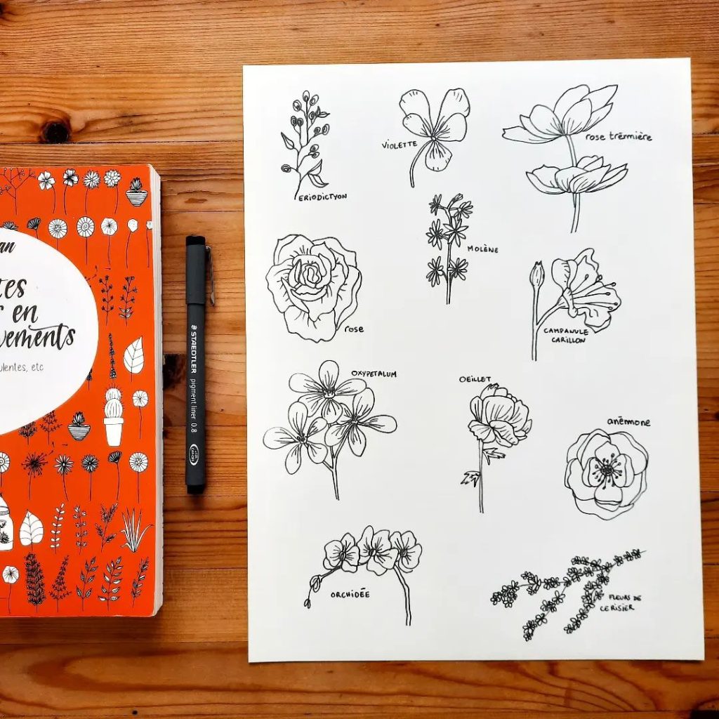 Flower Drawing Ideas