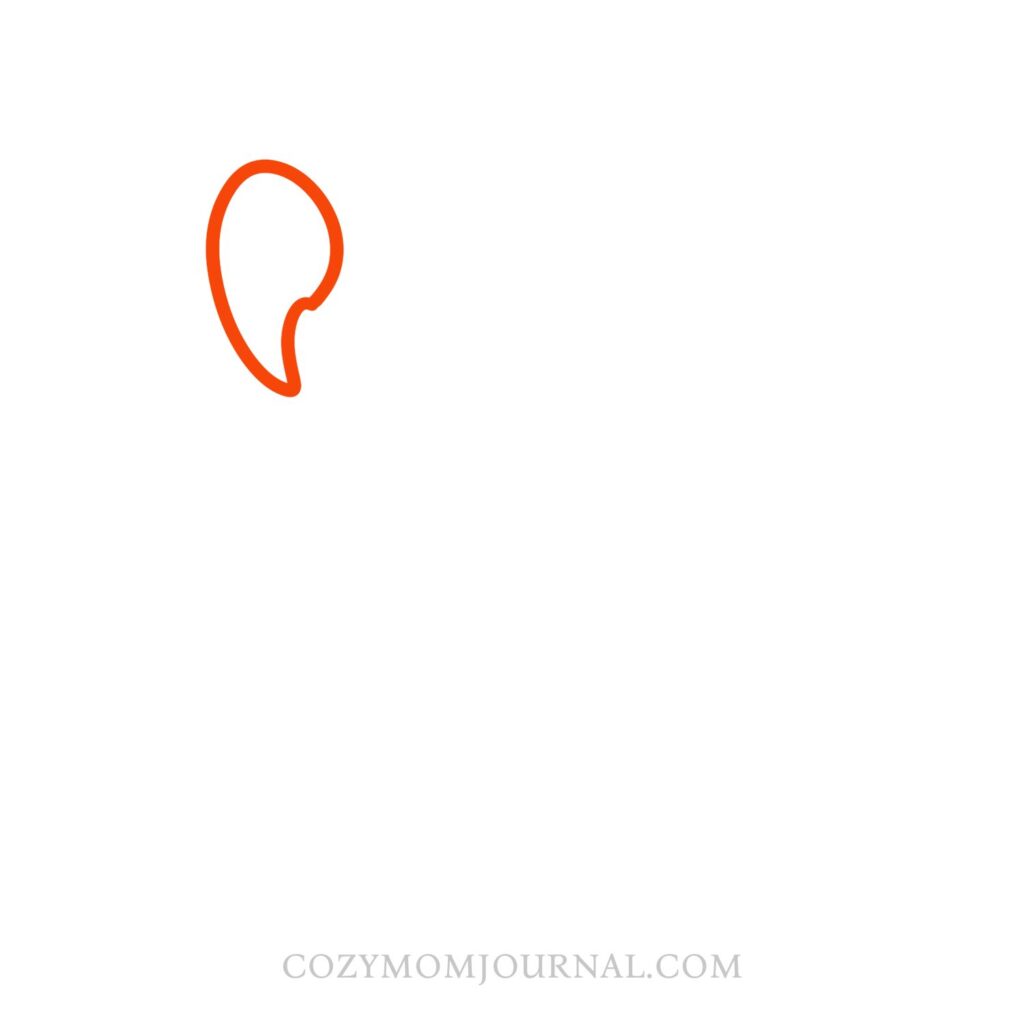 How to Draw a Parrot – Parrot Drawing Step-by-Step Tutorial
