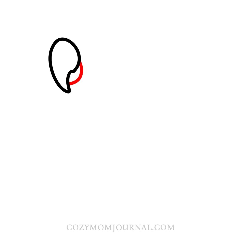 How to Draw a Parrot – Parrot Drawing Step-by-Step Tutorial