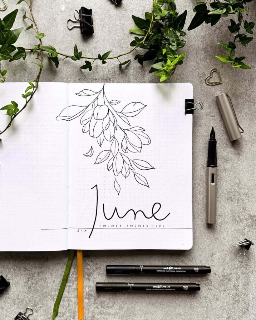 June Bullet Journal Ideas